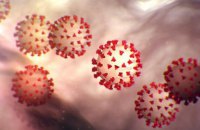 Вчені з Шанхая виділили штам коронавірусу нового типу