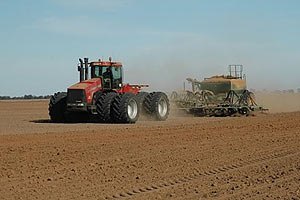 Аграрії виконали план висівання зерна