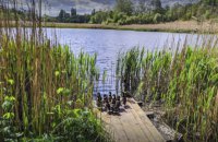 Экологическая комиссия поддержала создание парка "Совские пруды" в Киеве