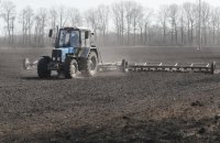 Україна очікує цьогоріч зібрати 45 млн тонн врожаю зернових і зернобобових