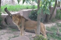В Приморье посетители зоопарка напали на животных