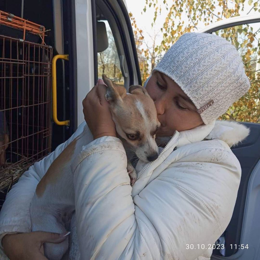 Тетяна Нельга