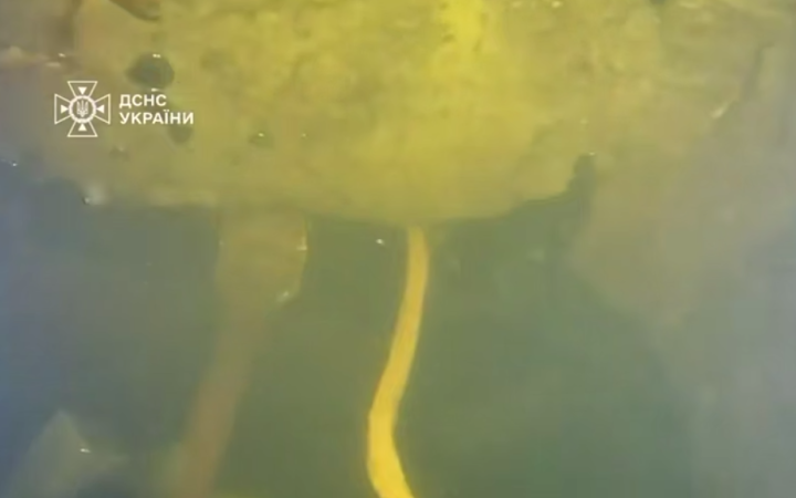 Водолази ДСНС провели унікальну підводну спецоперацію на підтопленій столичній ТЕЦ в умовах морозу