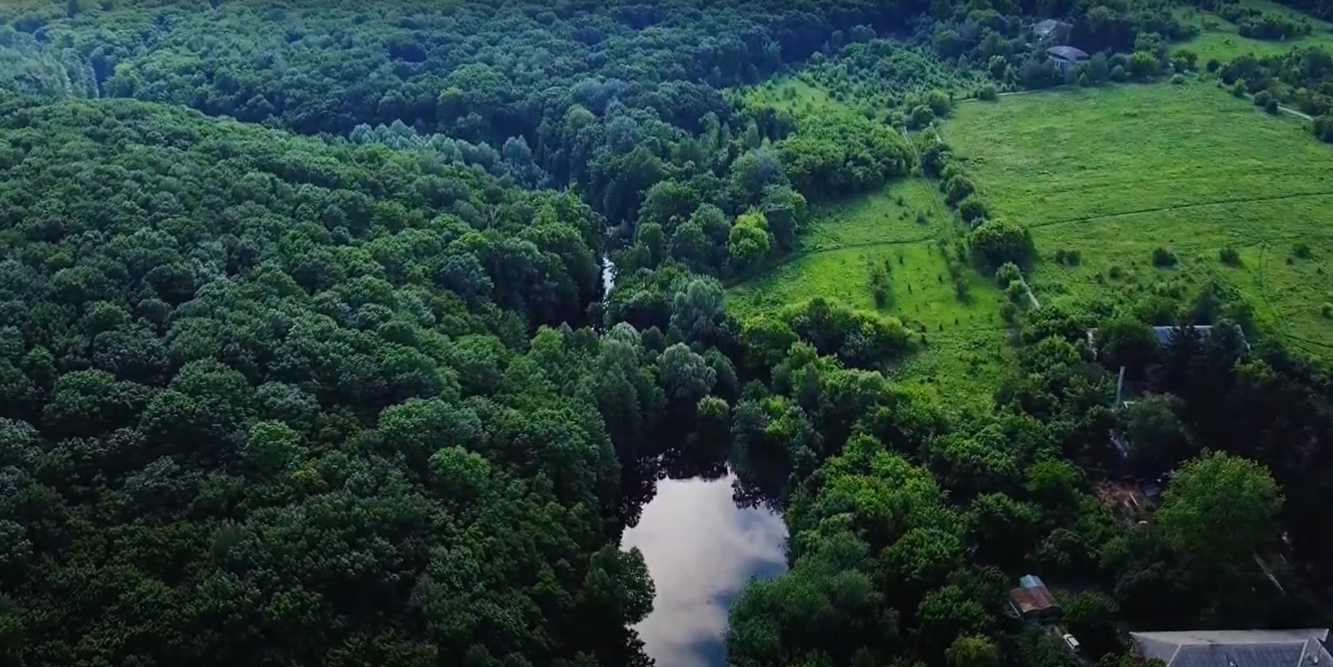 Китаївські ставки є межею між нацпарком «Голосіївський» і ділянкою під забудову. 