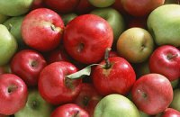 ​Украина увеличивает экспорт яблок