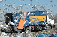 Мусорный кризис перерастает в мусорный коллапс: государство умыло руки