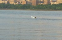 Антикварный самолет упал в реку Гудзон в Нью-Йорке