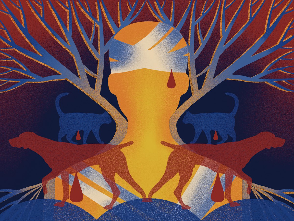 <i>Сергій також транспортує поранених до місць реабілітації, допомагає вивезти покинутих твари із зон, близьких до лінії зіткнення.</i>