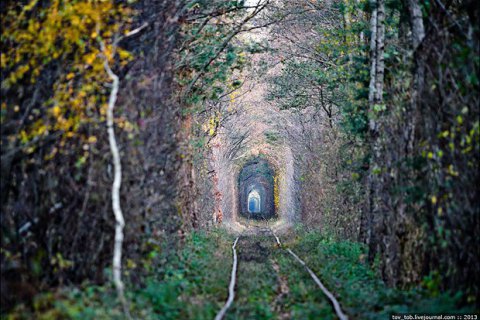 В'їзд у "Тунель кохання" в Рівненській області стане платним