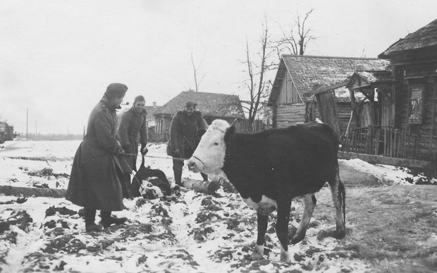 Німецькі солдати забирають худобу в селян
