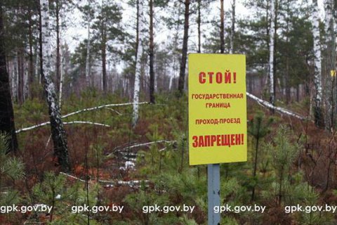В Беларуси пограничники задержали троих украинцев, собиравших ягоды