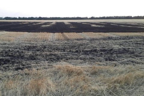 В Днепропетровской области сгорело поле пшеницы
