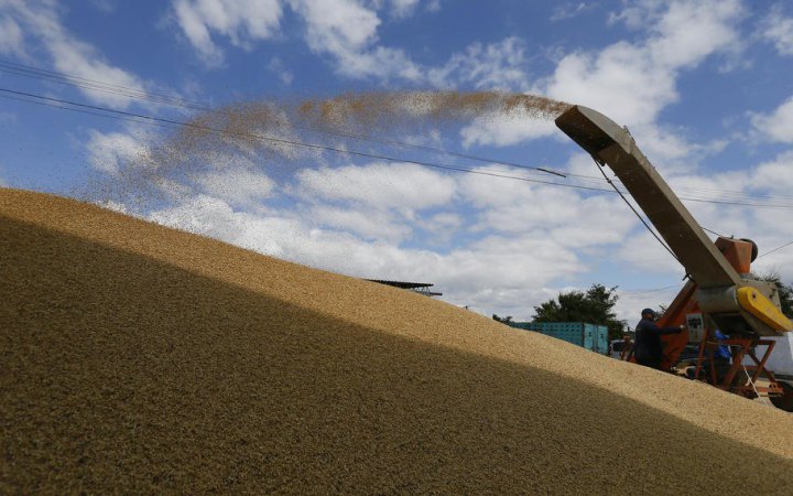 Індія домовляється з РФ про купівлю пшениці зі знижкою, - Reuters