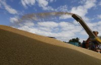 Індія домовляється з РФ про купівлю пшениці зі знижкою, - Reuters