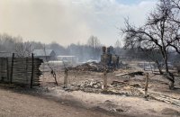 Лісові пожежі в Житомирській області перекинулися на села, людей евакуйовують
