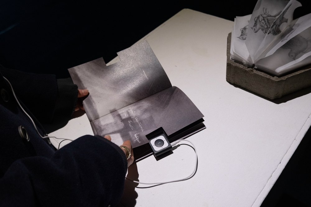 аудіобук Клементини Квіндт та Ольги Бабак, експозиція виставки (не)співають жаби в стінах в Асортиментній кімнаті