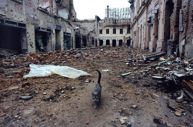  Місто Вуковар після сербського артилерійського обстрілу, 1991 рік.