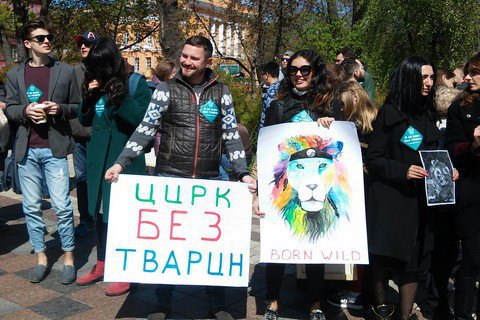 Митинг против использования животных в цирке собрал в Киеве тысячу человек