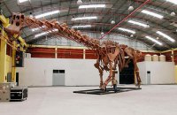В Аргентине нашли самого большого в мире динозавра