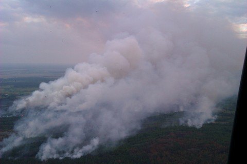 Рятувальники зупинили поширення вогню в Чорнобильській зоні
