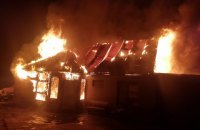 На Одещині через новорічну гірлянду згорів будинок