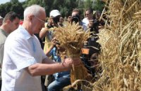 Азаров обещает за пять лет удвоить урожай зерна