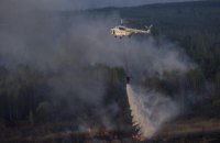 В Киевской области горит лес
