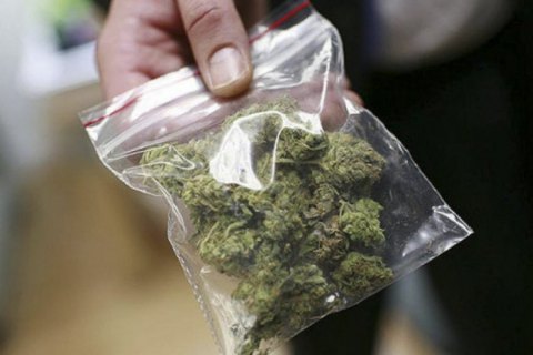 Рішення про легалізацію медичної марихуани буде, але без поспіху, - голова комітету здоров'я