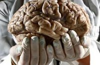 Мозг человека не стареет, утверждают ученые