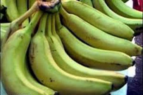 Іспанська поліція перехопила шість тонн кокаїну, захованого у вантажі бананів