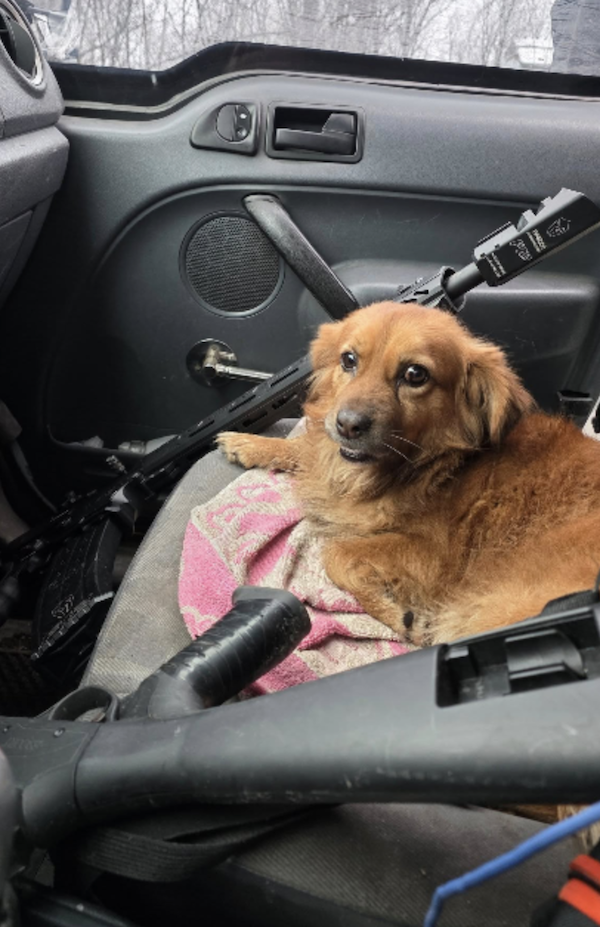 Волонтери завжди мають при собі рушниці для захисту від дронів