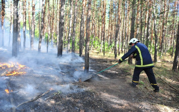 На Харківщині вогнеборці другу добу гасять лісову пожежу у Балаклійському лісництві на площі 43 га