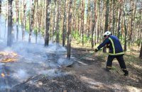 На Харківщині вогнеборці другу добу гасять лісову пожежу у Балаклійському лісництві на площі 43 га