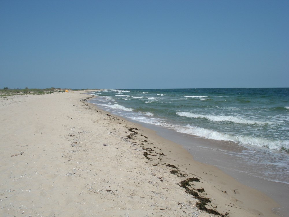 Піщаний берег Будацького лиману
