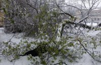 У Дніпропетровській області випала півторамісячна норма опадів за дві доби