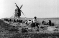 Кінець і початок трагедій. Чи бути дежавю?