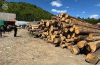 Знищення Карпат і лісів по всій Україні: через чорних лісорубів держава втрачає мільярди – і це лише офіційно