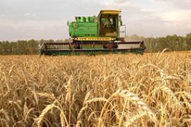 ​Украинские сельхозпреприятия увеличили прибыль