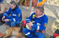 Друга група рятувальників з України прибула до Туреччини