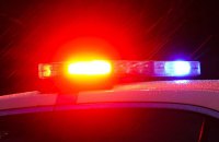 На музичному фестивалі у Лос-Анджелесі стрілець вбив двох людей