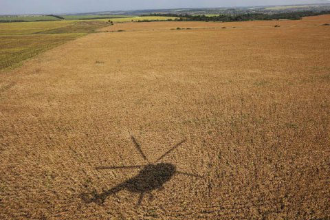 Мінагрополітики зафіксувало рекордну врожайність зернових в Україні