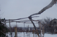 «Ма». Документальна ода прифронтовій самотності