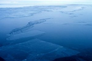 Антарктика виснажила більш ніж половину природних вод