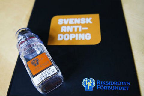 Швеция обвинила Россию в хакерской атаке на Шведскую спортивную конфедерацию