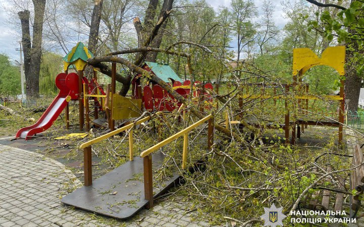 Через буревій на Буковині травмувалися двоє дітей