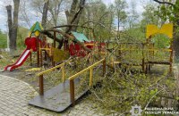 Через буревій на Буковині травмувалися двоє дітей