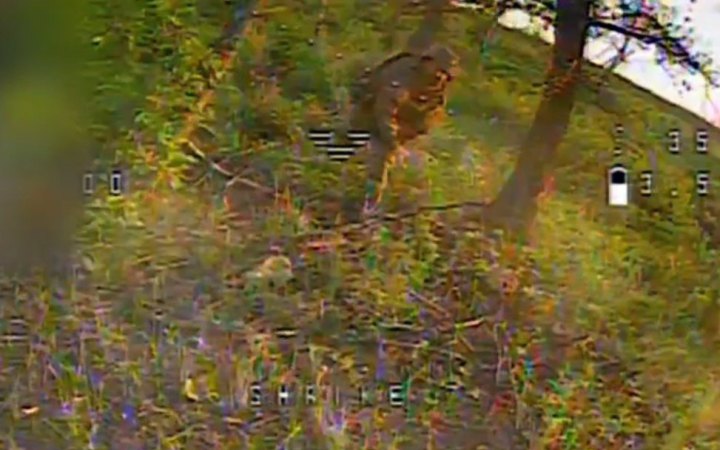 Сили оборони знищили російський "Град"