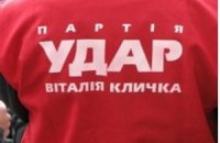 "УДАР" просить перерахувати голоси в Донецьку