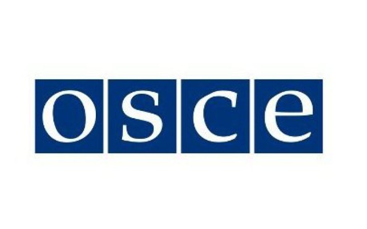 ОБСЄ має намір продовжити мандат спецпредставника в Україні 