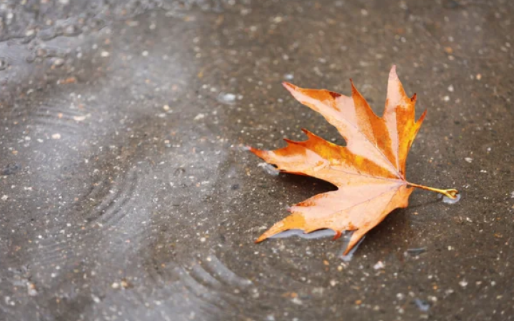 В Україні завтра буде хмарно, температура до +13